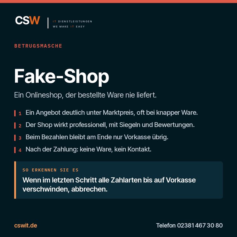 Infografik zur Betrugsmasche Fake-Shop: Ablauf und Erkennungsmerkmal
