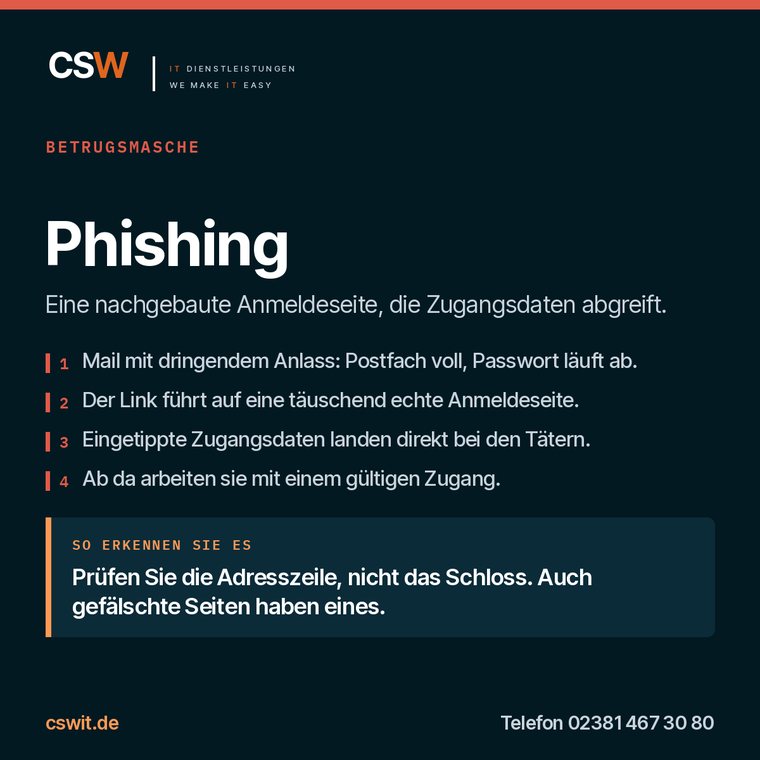 Infografik zur Betrugsmasche Phishing: Ablauf und Erkennungsmerkmal