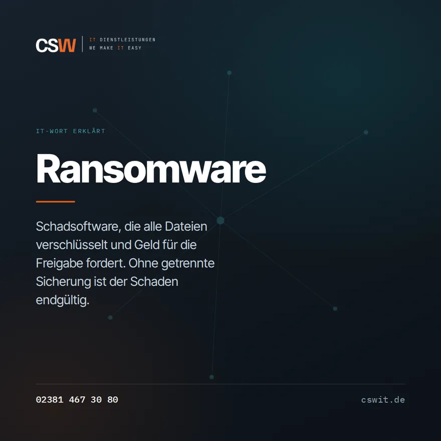 Grafik: Erklärung des Begriffs Ransomware